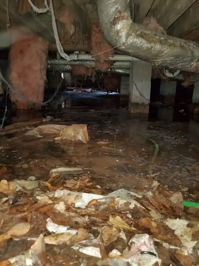 Crawl space flood assessment for Leak Detection & Repair in Fair Lakes